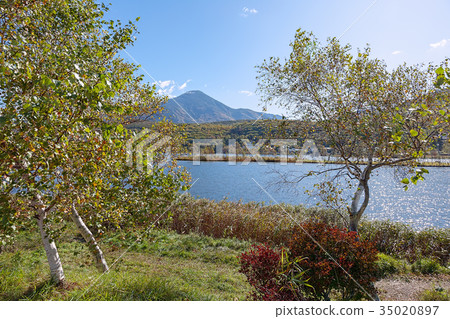 Lake Shirakaba (October Fall Autumn leaves) 35020897