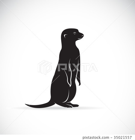 Vector of meerkats design on white background. 35021557