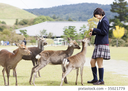 high school girl  35021779