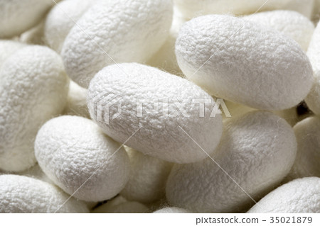 Mayu ball Mayu ball 35021879