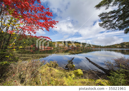 白川池塘 白川池塘 35021961