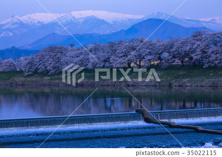 Samurai shrine, Okawaramachi, one eye thousand cherry blossoms, Shiraishi Samurai shrine, Okawaramachi, one eye thousand cherry blossoms, Shiraishi 35022115