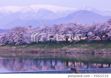 Samurai shrine, Okawaramachi, one eye thousand cherry blossoms, Shiraishi 35022119