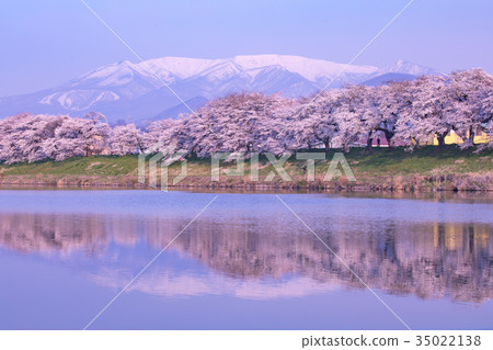 Samurai shrine, Okawaramachi, one eye thousand cherry blossoms, Shiraishi 35022138
