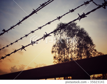 Wire of fence Wire of fence 35023141