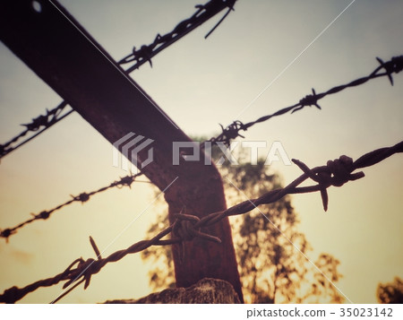 Wire of fence 35023142