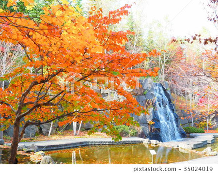 瀧野之秋葉子風景 35024019