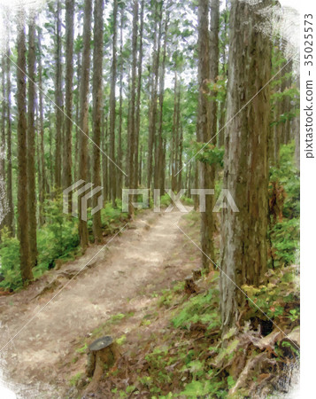 Realism Style Oil Painting; Trail World Heritage  35025573