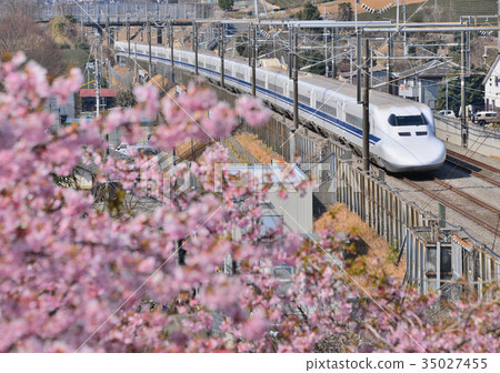 櫻花和新幹線-15247 櫻花和新幹線-15247 35027455
