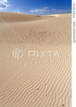 Sand dunes 35027614