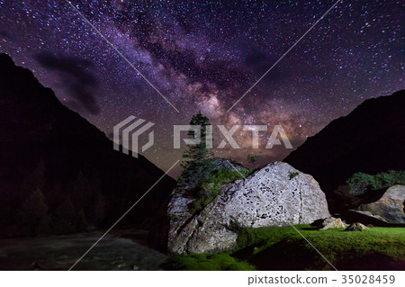 Starry night in the mountains. Lonely tree on a 35028459