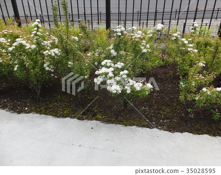 路邊休息 35028595