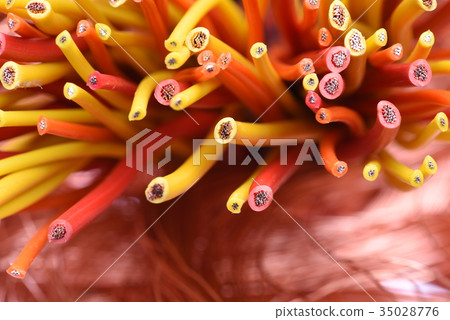 Colored electric cables closeup 35028776