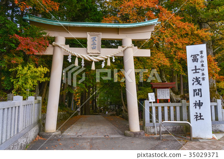 Susasu Asama Shrine Torii 35029371