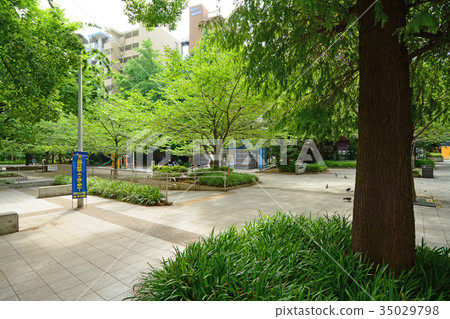 Ikusen Chuo-ku,東京櫻川公園 Ikusen Chuo-ku,東京櫻川公園 35029798
