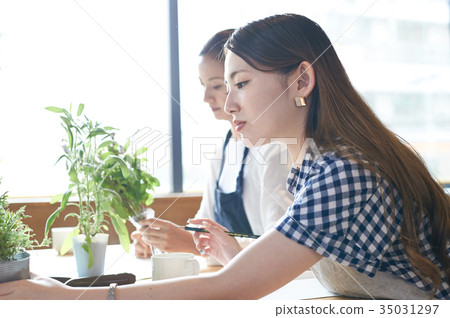 文化學校參與種植的婦女 35031297