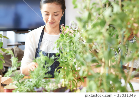 文化學校參與種植的婦女 35031349
