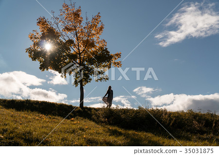 girl is standing on a hill beside a lonely tree girl is standing on a hill beside a lonely tree 35031875