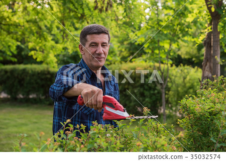 Retired man is trimming the green hedge Retired man is trimming the green hedge 35032574