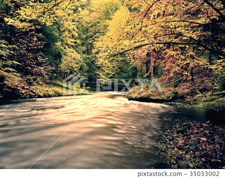 . Fresh colorful leaves on branches above water . Fresh colorful leaves on branches above water 35033002