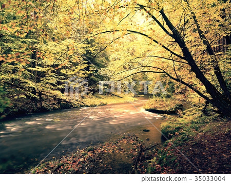 Fall river . Autumn trees by the mountain stream Fall river . Autumn trees by the mountain stream 35033004