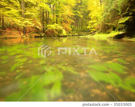 Autumn colorful forest above mountain river 35033005