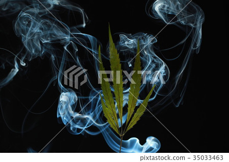 green cannabis leaf on a black background green cannabis leaf on a black background 35033463