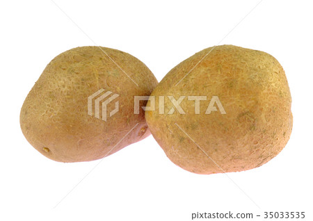 Potato isolated Potato isolated 35033535