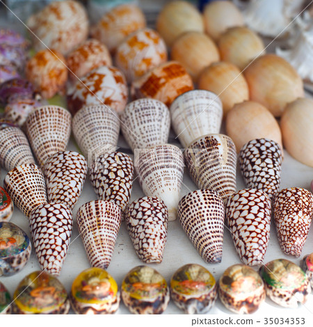 seashells for sale on a beach in Bali 35034353