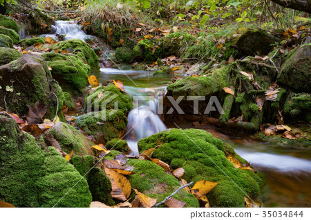 溪流 溪流 35034844