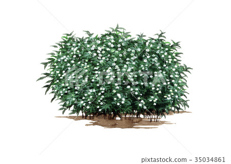 Kodemari Kodemari的精密工廠圖紙 Kodemari Kodemari的精密工廠圖紙 35034861