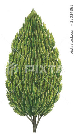 Sketch of Konotega Shiba 35034863