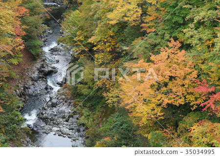 Autumn leaves in the Nakatsugawa valley 35034995