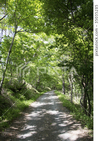 Unpaved road Unpaved road 35035285