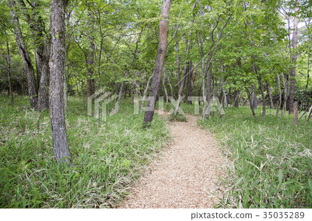 Unpaved road 35035289