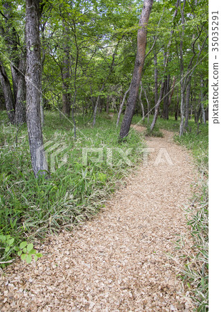 Unpaved road Unpaved road 35035291