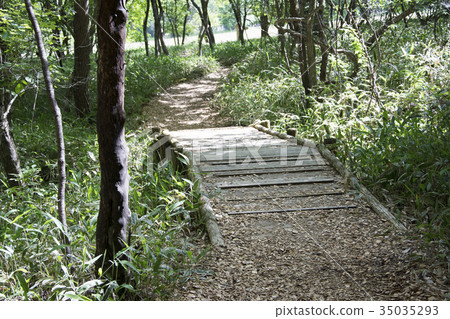 一座小木橋 一座小木橋 35035293