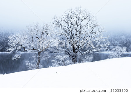 Hokuryu湖在冬天 Hokuryu湖在冬天 35035590