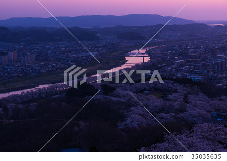 Funaoka Castle Park，柴田町，櫻花節 35035635