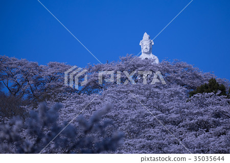 Funaoka Castle Park, Shibata-cho, Sakura Festival 35035644