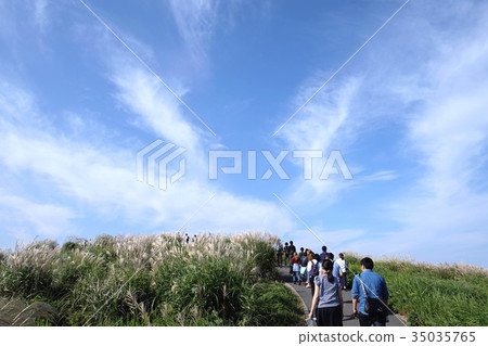 Susuki National Government Beach Park 35035765