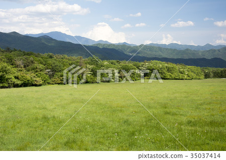 Landscape of Kiyosato plateau 35037414
