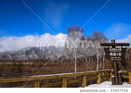 Senjogahara Senjogahara 35037550