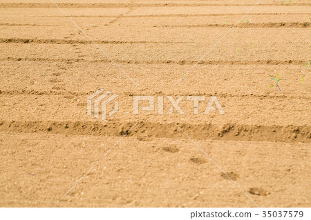 A field of soil 35037579