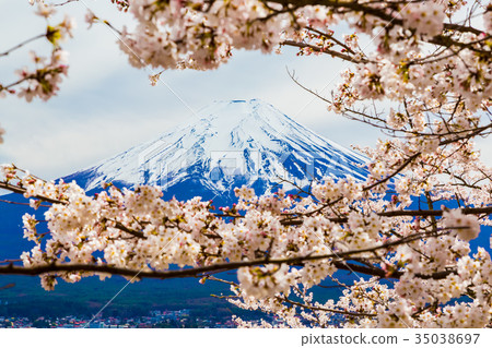 富士前景是櫻花 35038697