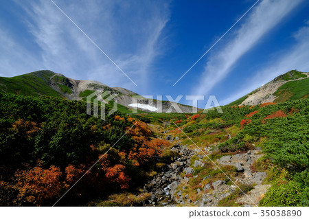 Autumn leaves of Norikura 35038890