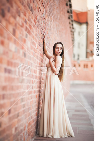 Beautiful sexy girl with long hair and dress 35040540