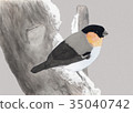 Painting of a bird Painting of a bird 35040742