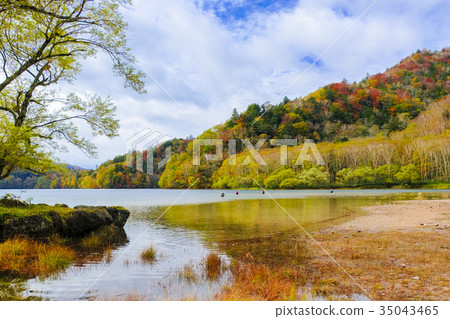 Marnuma Angler Marnuma Angler 35043465