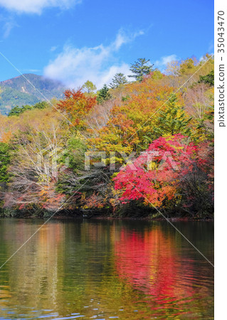 秋湖Yuno（縱向） 35043470